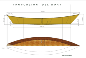 proporzioni del dory
